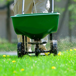 lawn fertilization services michigan